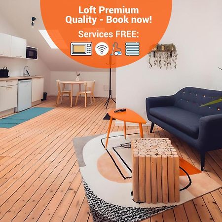 Loft Lumineux Tres Spacieux - Parking Gratuit Châteauroux Exterior foto